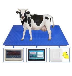 RFID 소 귀 태그 인식 계량 시스템 전자 동물 저울 스마트 터치 스크린이 있는 RFID 동물 귀 태그 인식 바닥 저울